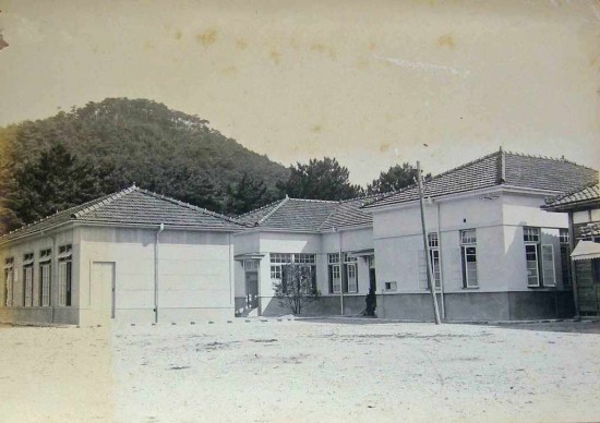 Oshima 1931 2