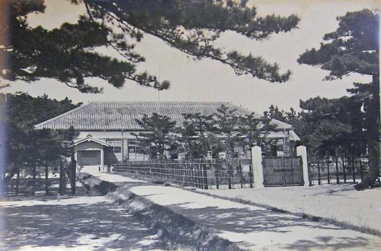 Oshima 1931 3