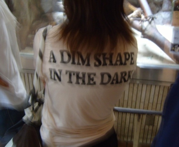 a dim shape in the dark - engrish