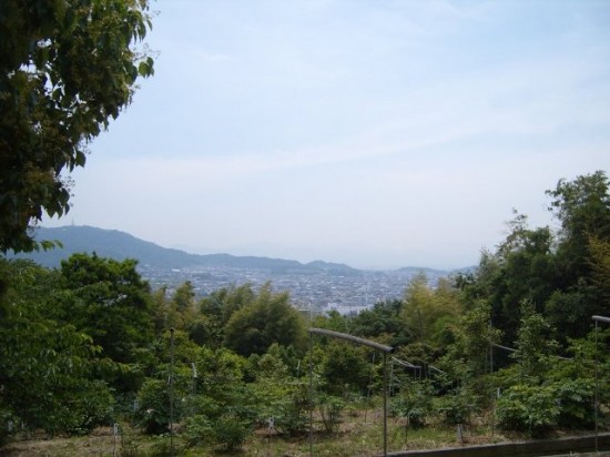 Takamatsu from Shikoku Mura