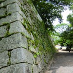 Okayama Castle 2