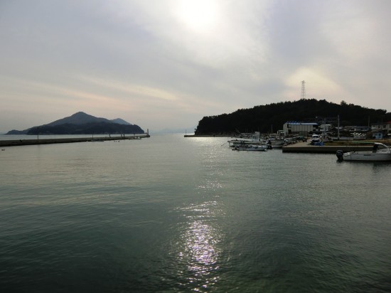 8 Port Est dOgijima