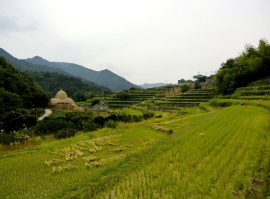 House of Shodoshima