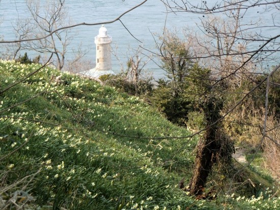 15 lighthouse