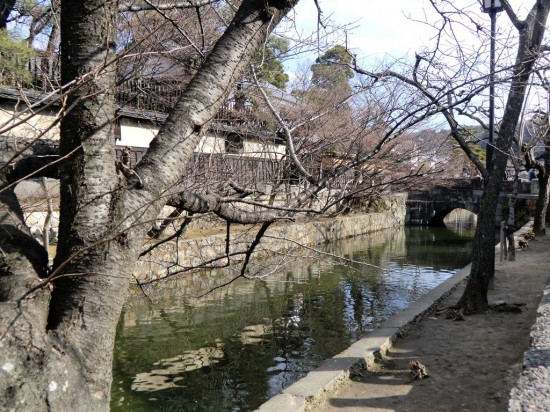 Kurashiki Bikan 5