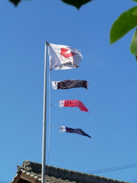 Onba Factory Flag Koinobori