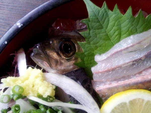 Sashimi Fish Head