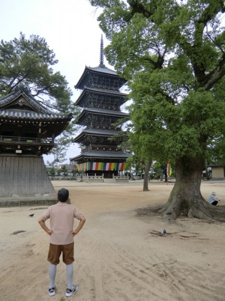 Old man looking at a pagoda in Japan
