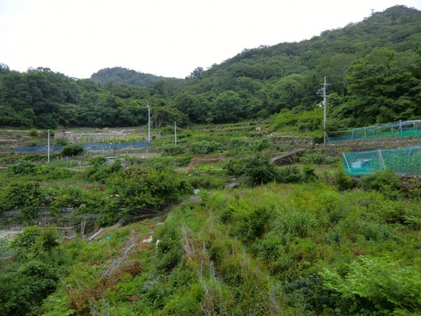 Ogijima Countryside