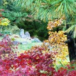 Ritsurin Garden in the Fall 31