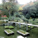 Ritsurin Garden in the Fall 32