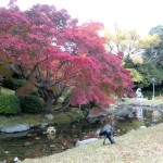 Ritsurin Garden in the Fall 36
