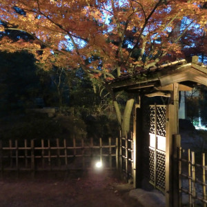 Fall Illuminations in Ritsurin Garden 05