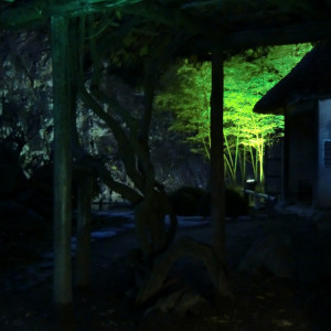 Fall Illuminations in Ritsurin Garden 11