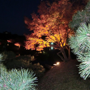 Fall Illuminations in Ritsurin Garden 29