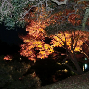 Fall Illuminations in Ritsurin Garden 33