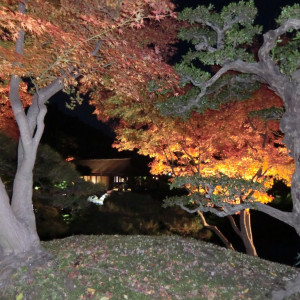 Fall Illuminations in Ritsurin Garden 34
