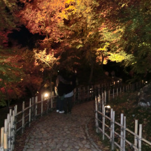 Fall Illuminations in Ritsurin Garden 35