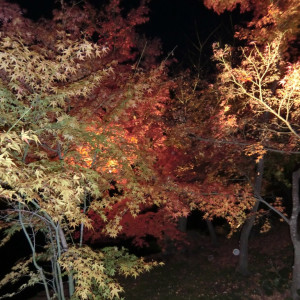 Fall Illuminations in Ritsurin Garden 36
