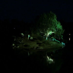Fall Illuminations in Ritsurin Garden 40