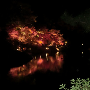 Fall Illuminations in Ritsurin Garden 41