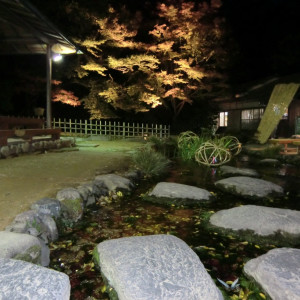 Fall Illuminations in Ritsurin Garden 44