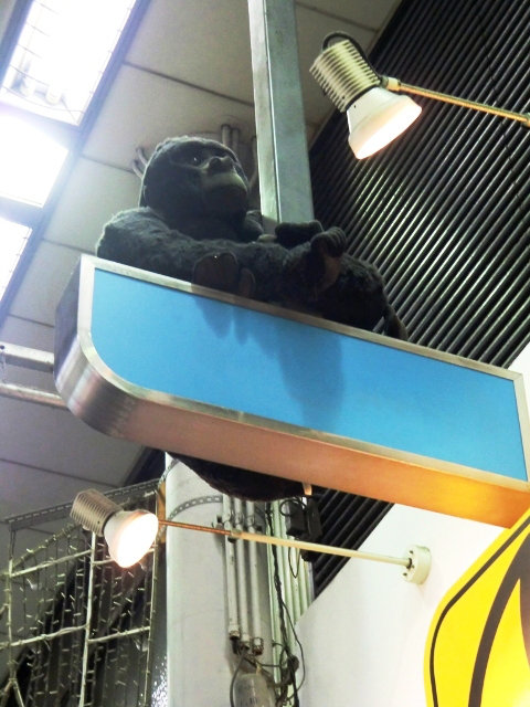 Gorilla in Takamatsu