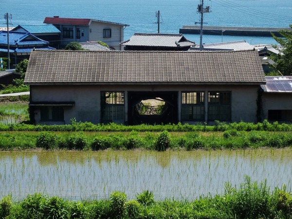 Chiharu Shiota's Distant Memory on Teshima