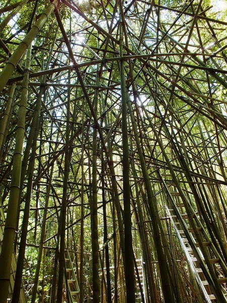 Big Bambu Preview - 4
