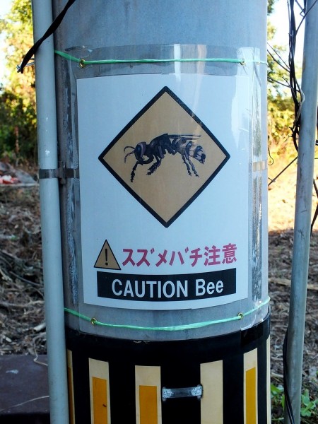 9 - Takamijima - Caution Bee