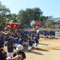 Shiraha Matsuri Mure 22