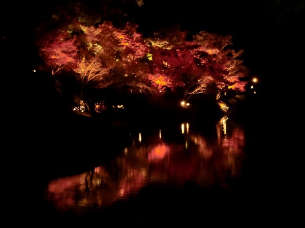 Ritsurin autumn nocturne