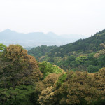 Climbing Konpira san Part Four 06