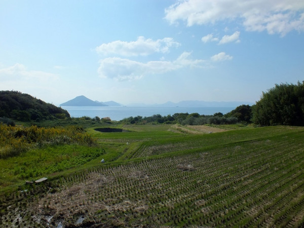 Big Bambu - Teshima - 02