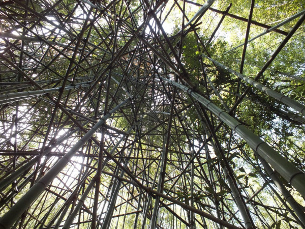 Big Bambu - Teshima - 06