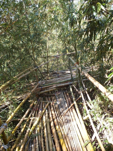 Big Bambu - Teshima - 12