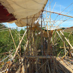Big Bambu Teshima 19