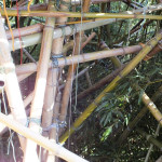 Big Bambu Teshima 30