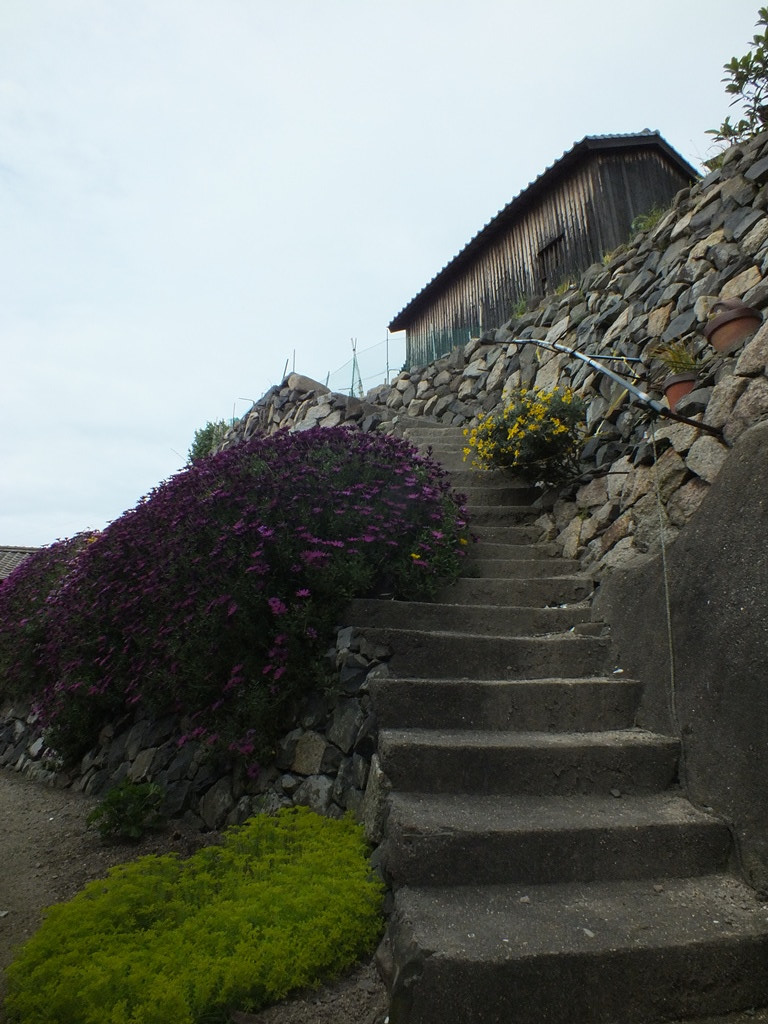 Stairs on Ogijima