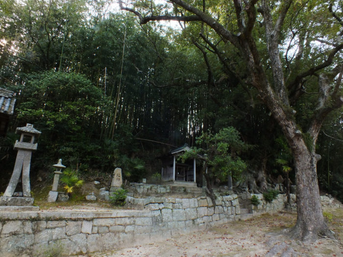 21 - Camphor Tree on Teshima