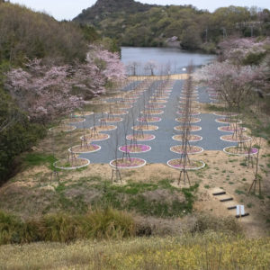 4 Labyrinth of Cherry Blossoms Tadao Ando