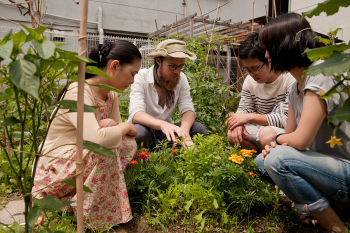 Nature Art Workshop