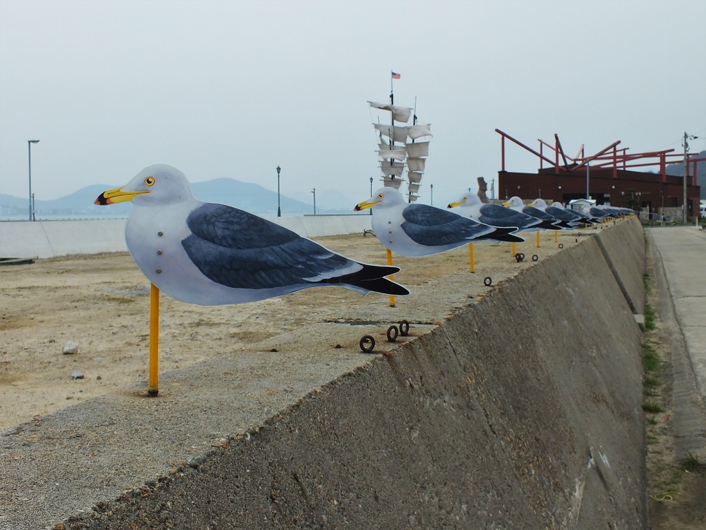 Seagull Parking Lot on Megijima