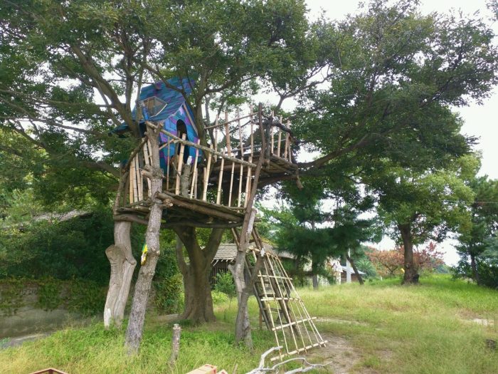 megijima-treehouse