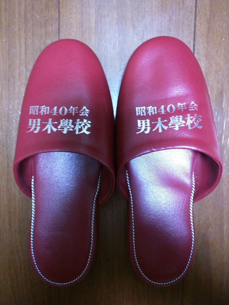 Ogi School PSS40 Slippers