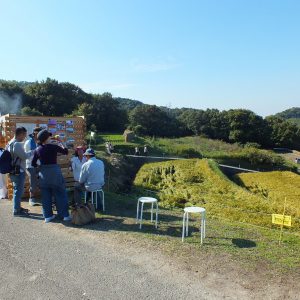 Harvest Festival and Seppuku Pistols on Teshima 11