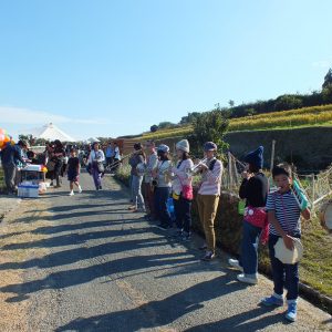 Harvest Festival and Seppuku Pistols on Teshima 16