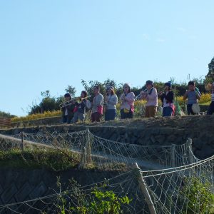 Harvest Festival and Seppuku Pistols on Teshima 17