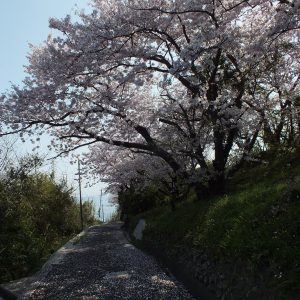 Ogijima April 2018 9