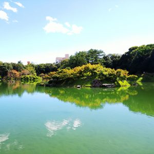 Ritsurin Garden from Kikugetsu tei 5